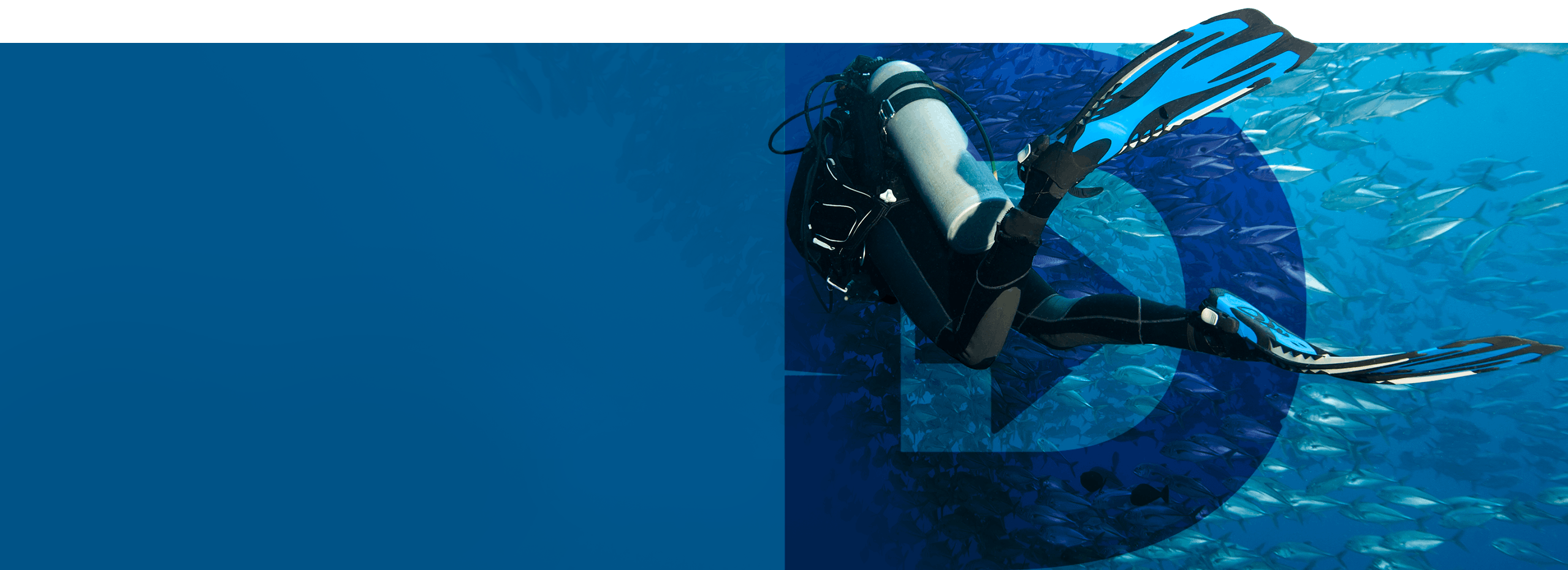 Scuba Diver underwater